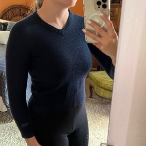 Express Merino Wool Sweatshirt